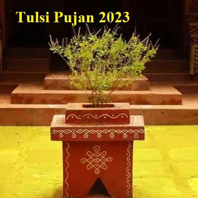 Tulsi vivah का दिन कब है, शुभ मुहूर्त, पूजा विधि, भोग के लिए बनाएं ये खास व्यंजन